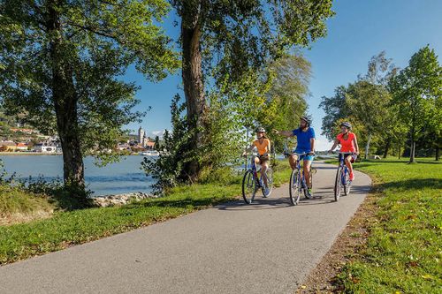 Bike tour: Blue Danube Cycle to Vienna in Comfort