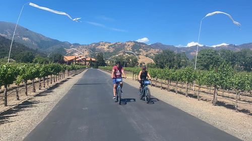 Bike tour: Cycling & Wine Tasting in Calistoga