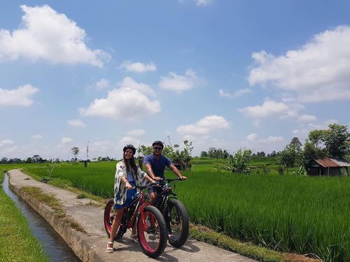 Bike tour: Fat Tire Electric Bike Tour In Ubud