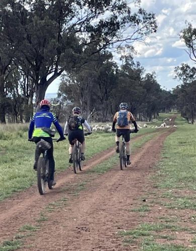 Central west 2024 cycling trail