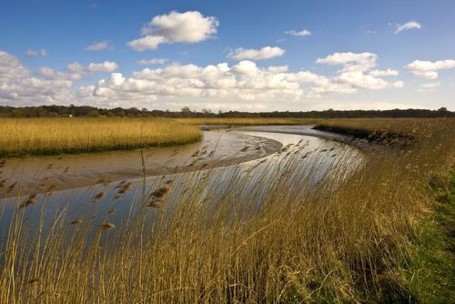 Bike tour: A Suffolk Seaside Jolly