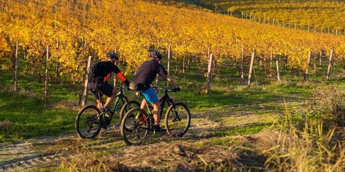 Bike tour: Sailboats, Bikes and Wines: Around the Balaton