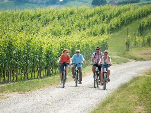 Bike tour: Bike Tour to the Etyek Wine Region