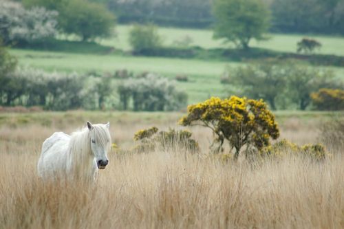 Bike tour: Devon Coast to Coast