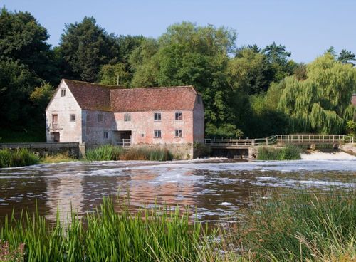 Bike tour: Isles Coast and the New Forest